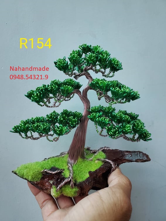 bonsai-R154