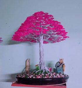 bonsai handmade đẹp