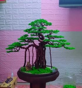 bonsai handmade đẹp