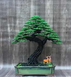 bonsai handmade đẹp