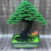 bonsai handmade đẹp