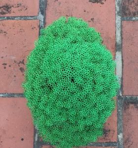 bonsai handmade đẹp