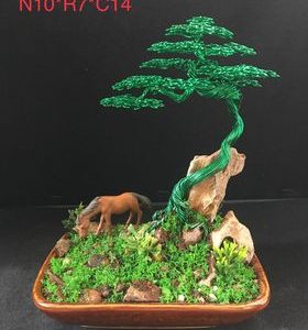 bonsai handmade đẹp
