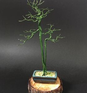 bonsai handmade đẹp