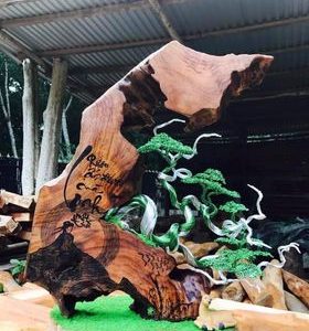 bonsai handmade đẹp