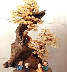 bonsai handmade đẹp