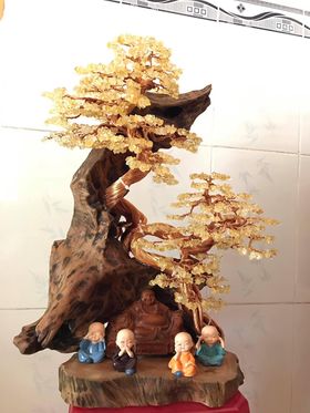 bonsai handmade đẹp bonsai handmade đẹp