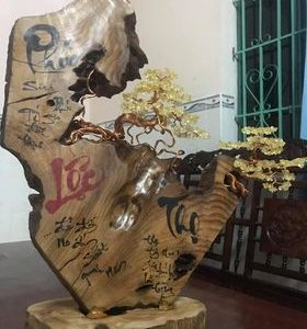 bonsai handmade đẹp