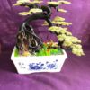 bonsai handmade đẹp