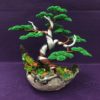 Bonsai handmade đẹp