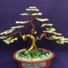 Bonsai handmade đẹp