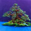 bonsai handmade đẹp