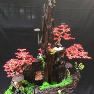 bonsai handmade đẹp