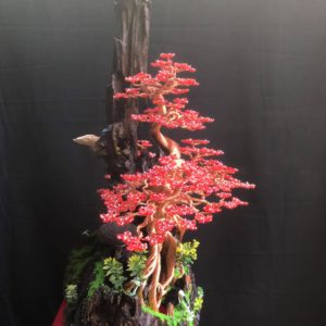 bonsai handmade đẹp