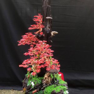 bonsai handmade đẹp