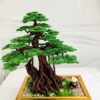 bonsai handmade đẹp