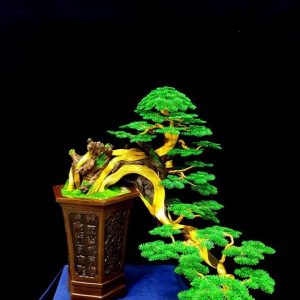 bonsai handmade đẹp