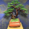 bonsai handmade đẹp