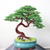 bonsai handmade đẹp