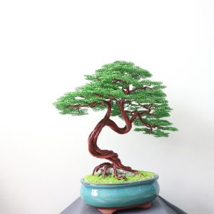 bonsai handmade đẹp