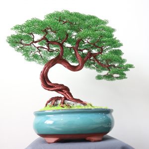 bonsai handmade đẹp