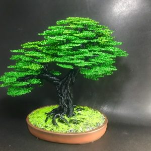 bonsai handmade đẹp