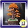bonsai handmade đẹp